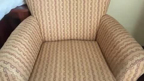 Tev online show from 03.23.26