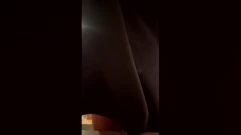 Snapshot of th3xgoat chatting on 02.17.26 Wildeman online show from 02.17.26