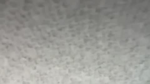 Snapshot of thankyoudaddy1 chatting on 10.28.25 thankyoudaddy1 online show from 10.28.25