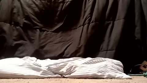 Snapshot of thatb1 chatting on 09.28.25 thatb1 online show from 09.28.25