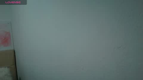   online show from 02.05.26