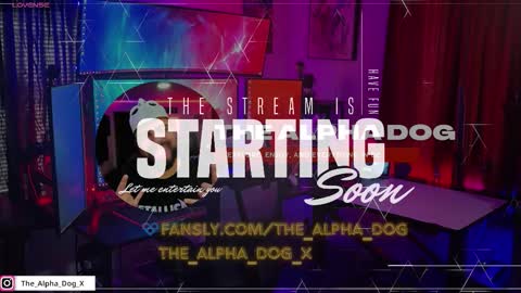Snapshot of the_alpha_dog_xxx chatting on 11.04.25 the_alpha_dog_xxx online show from 11.04.25