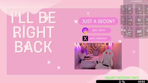 i am Cat  online show from 01.15.25