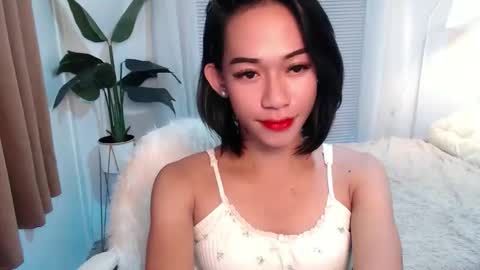 SOFIA online show from 02.16.26