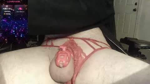 AverageGringo online show from 10.11.25