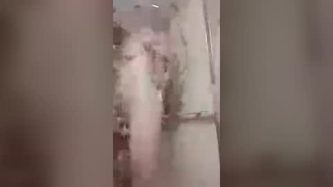 thedailyshower online show from 07.06.26