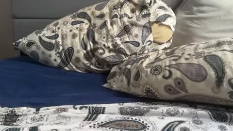 Snapshot of theeshooterr chatting on 12.05.24 theeshooterr online show from 12.05.24