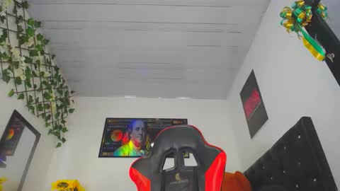 Prince online show from 12.02.24