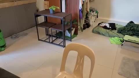 Green online show from 04.01.26