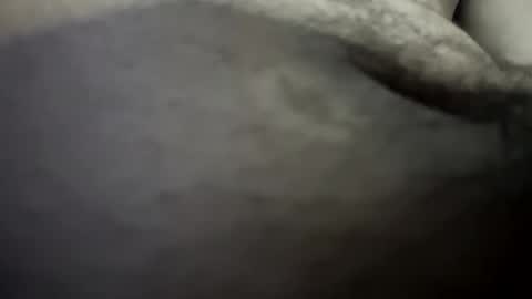 thehousedog online show from 01.17.26