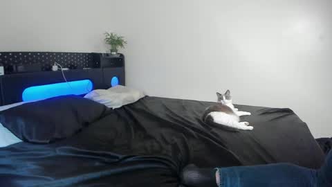 Johnny Stone online show from 04.22.26