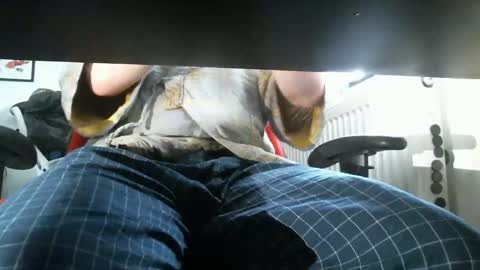 thelittleteaser online show from 04.20.26