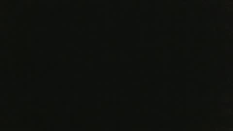 JohnSilver online show from 01.20.25