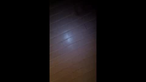 theonlyboi43ver online show from 02.26.26