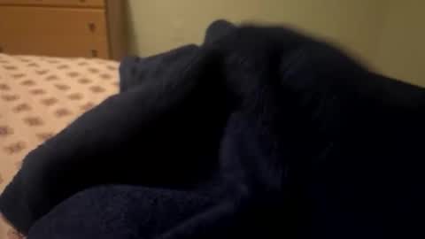 theplummer99 online show from 12.04.25