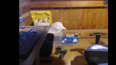 Snapshot of therealbigcheese0695 chatting on 10.29.25 therealbigcheese0695 online show from 10.29.25