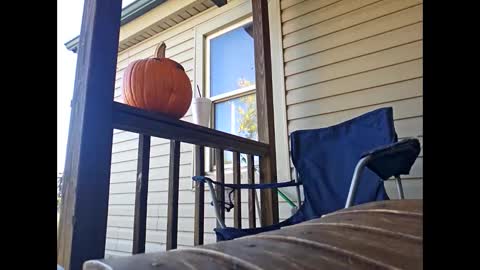 therizzler_1_of_1 online show from 10.22.25