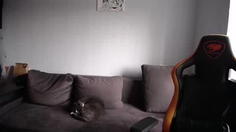 Snapshot of theroadtomars chatting on 11.23.25 Nick online show from 11.23.25