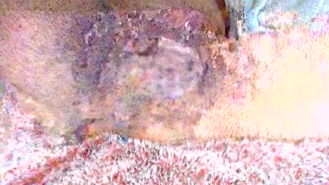 Snapshot of thetightestass14 chatting on 02.20.25 thetightestass14 online show from 02.20.25