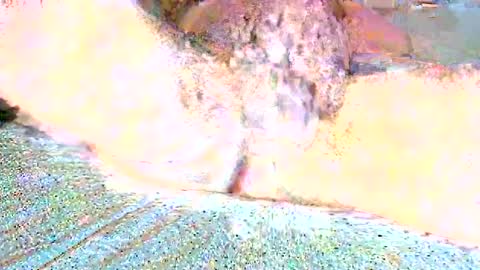 Snapshot of thetightestass14 chatting on 02.25.25 thetightestass14 online show from 02.25.25