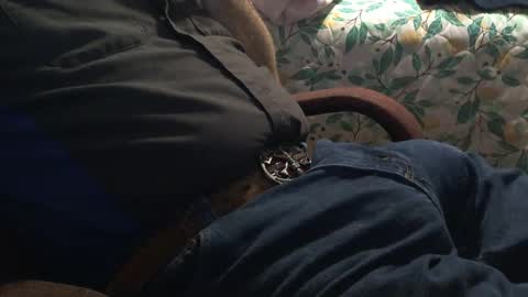 Snapshot of thetnguy chatting on 12.21.24 thetnguy online show from 12.21.24