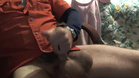 Snapshot of thetnguy chatting on 12.23.24 thetnguy online show from 12.23.24