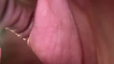 thetwomaskedbandits online show from 04.07.26