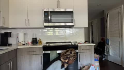 Sapphire the Vixen online show from 04.10.26