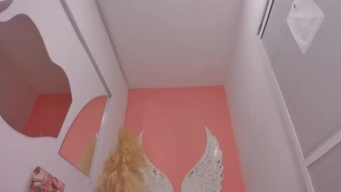 Lexxy online show from 02.02.26