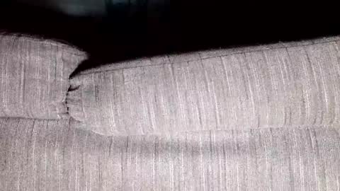 Snapshot of thirsty4itall chatting on 01.08.25 Thirsty4itall online show from 01.08.25