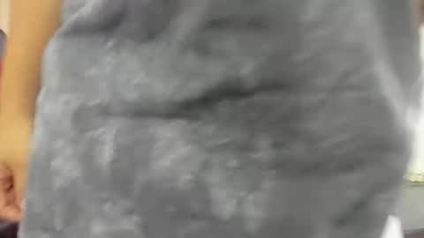 thomasthund online show from 01.14.26