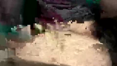 thunderbird2696 online show from 04.12.26