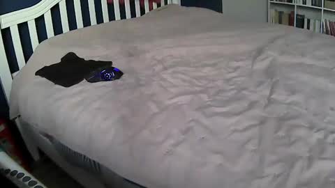 Snapshot of tigerek_i_m chatting on 02.11.25 tigerek_i_m online show from 02.11.25