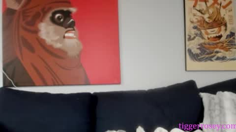 Snapshot of tiggerrosey chatting on 11.19.25 All my Links online show from 11.19.25