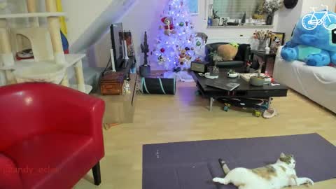 Tiny online show from 12.03.25