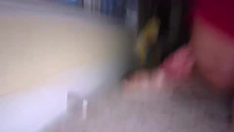 tj526316275 online show from 01.09.25