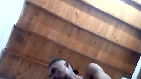 DESTROY.S online show from 11.01.25