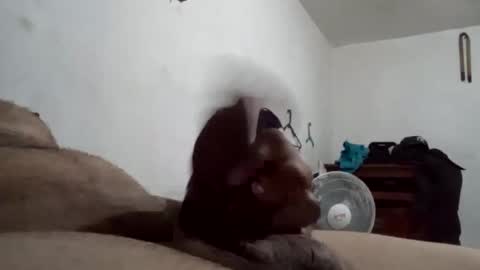 tobe557337 online show from 12.17.24