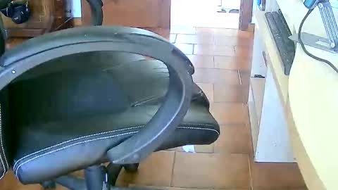 Snapshot of tobikoyuzu chatting on 02.17.26 Tobiko online show from 02.17.26