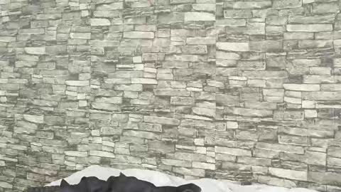 Snapshot of tokyosky chatting on 01.05.26 Tokyo online show from 01.05.26