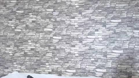 Snapshot of tokyosky chatting on 02.02.26 Tokyo online show from 02.02.26