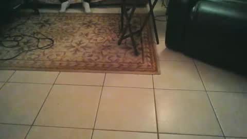 sirmuggsalot online show from 03.20.26