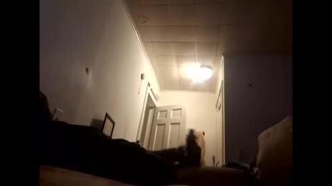 tonetanight online show from 02.07.26