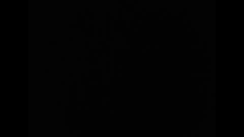 tony online show from 03.03.26