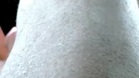 tornne online show from 03.26.26