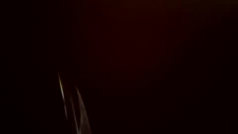 toronto5656 online show from 02.24.25