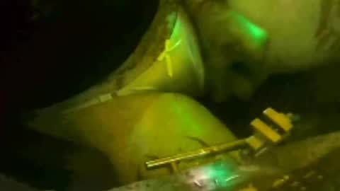 Snapshot of tosexyforjustus chatting on 03.15.26 tosexyforjustus online show from 03.15.26