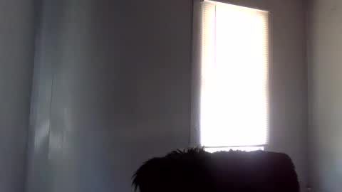 toxicanikki online show from 02.04.26