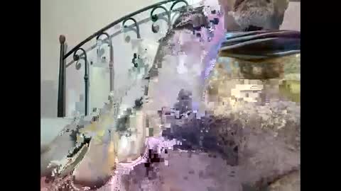 Snapshot of tra649167 chatting on 12.23.24 tra649167 online show from 12.23.24