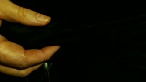 trailblazer1969 online show from 10.08.25